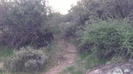 photo thumbnail #2