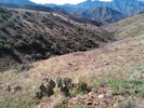 photo thumbnail #10