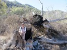 photo thumbnail #9