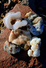 photo thumbnail #8
