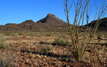 photo thumbnail #7
