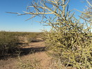 photo thumbnail #1