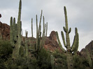 photo thumbnail #2