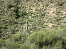 photo thumbnail #14