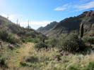 photo thumbnail #15