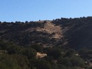 recent photo