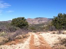 photo thumbnail #3