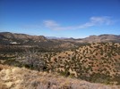 photo thumbnail #5