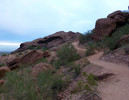 photo thumbnail #2