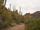 photo thumbnail #2