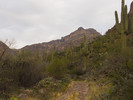 photo thumbnail #3