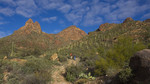 photo thumbnail #8