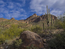 photo thumbnail #9