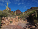 photo thumbnail #10