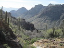photo thumbnail #13