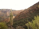 photo thumbnail #1