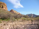 photo thumbnail #13