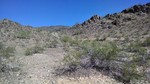 photo thumbnail #5