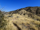 photo thumbnail #3