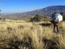 photo thumbnail #8
