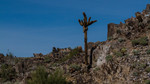 photo thumbnail #11