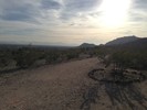 2014-01-29 :1: Charles M. Christiansen Trail #100 :: kingsnake