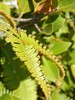 photo thumbnail #14