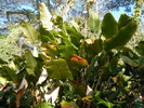 photo thumbnail #9