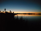 Featured Full Photo