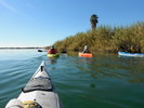 photo thumbnail #14