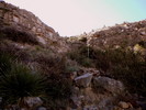 photo thumbnail #11