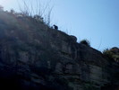 photo thumbnail #13