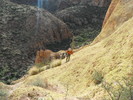 photo thumbnail #4