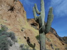 photo thumbnail #3