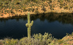 photo thumbnail #13