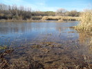 photo thumbnail #9