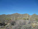 photo thumbnail #5