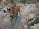 photo thumbnail #2