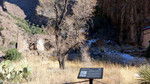 photo thumbnail #14