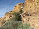 photo thumbnail #9