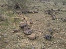 photo thumbnail #10