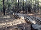 photo thumbnail #4