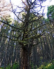 photo thumbnail #15