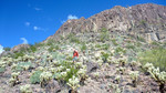 photo thumbnail #14