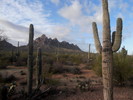 photo thumbnail #1