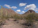 photo thumbnail #9