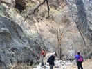 photo thumbnail #1