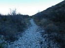 photo thumbnail #14