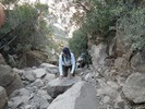 photo thumbnail #10