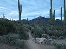 photo thumbnail #6